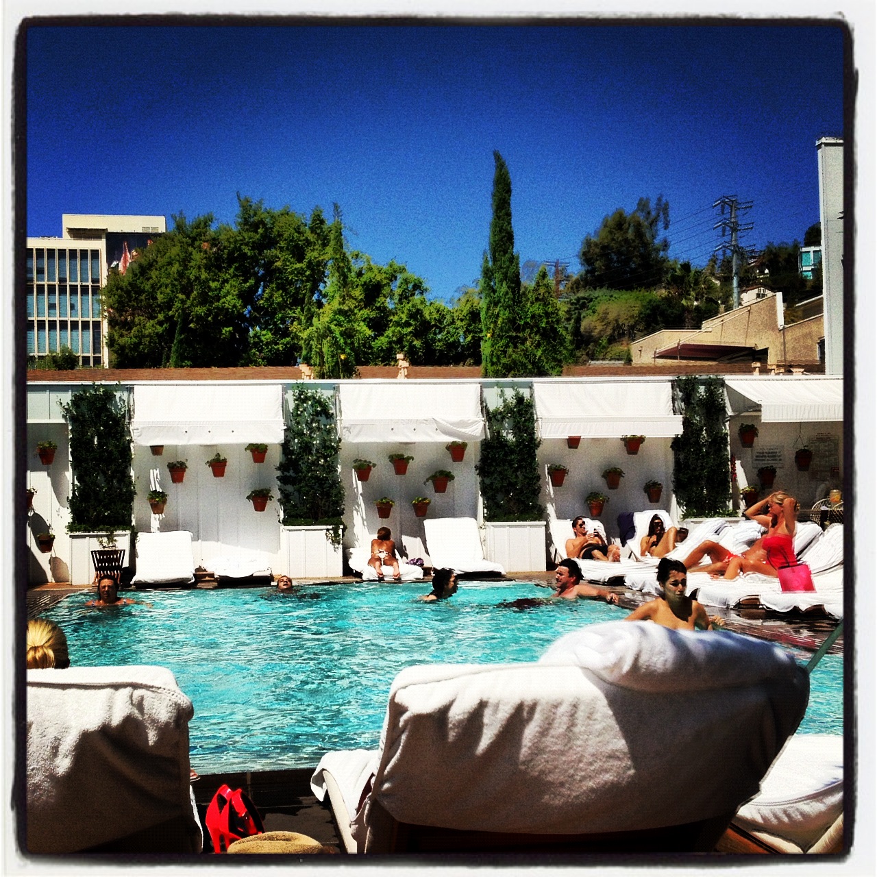 Poolside @ The Mondrian