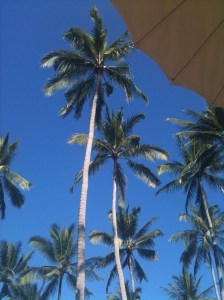 Amankila Beach Club Lounge View