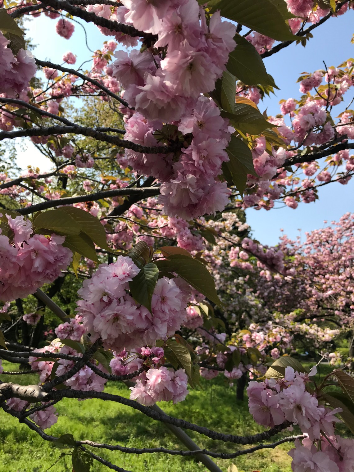 Zea8oxcpQymwXXDE1QDfNw